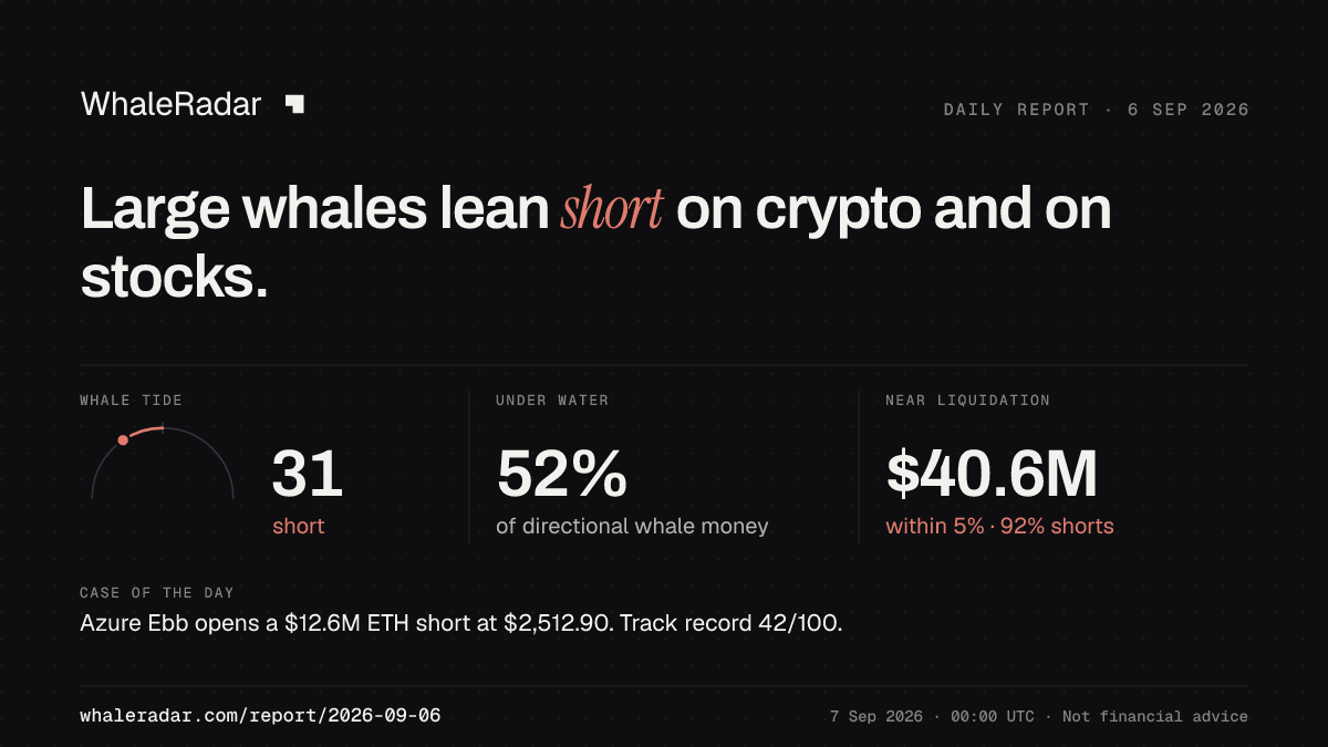 Share card for the report of 2026-09-06: Large whales lean short on crypto and on stocks.