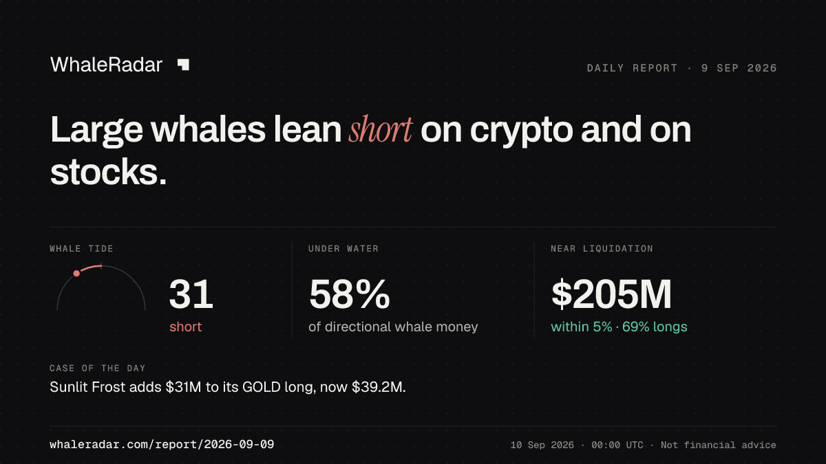 Share card for the report of 2026-09-09: Large whales lean short on crypto and on stocks.