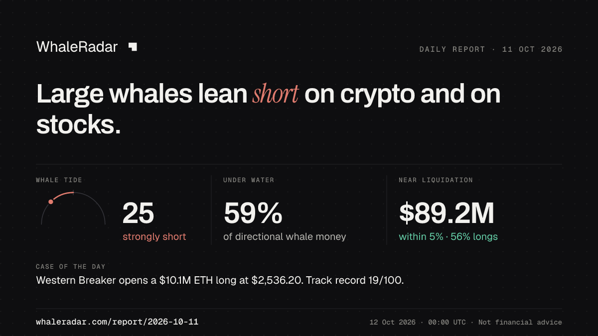 Share card for the report of 2026-10-11: Large whales lean short on crypto and on stocks.