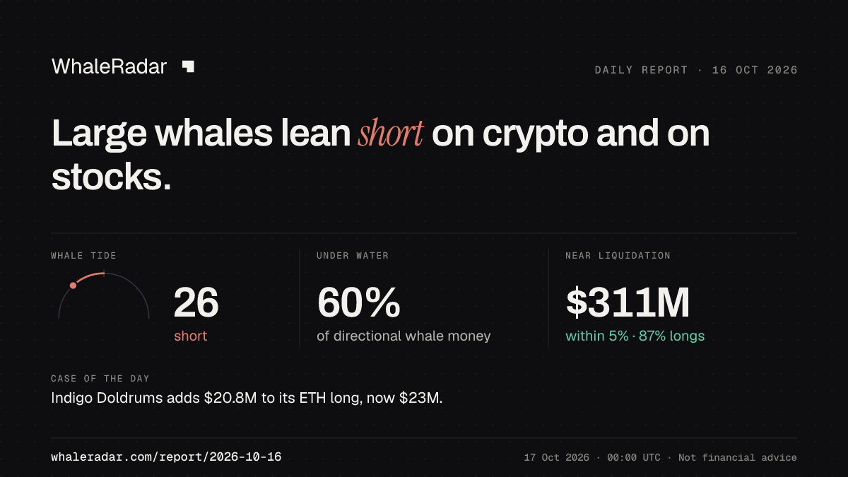 Share card for the report of 2026-10-16: Large whales lean short on crypto and on stocks.