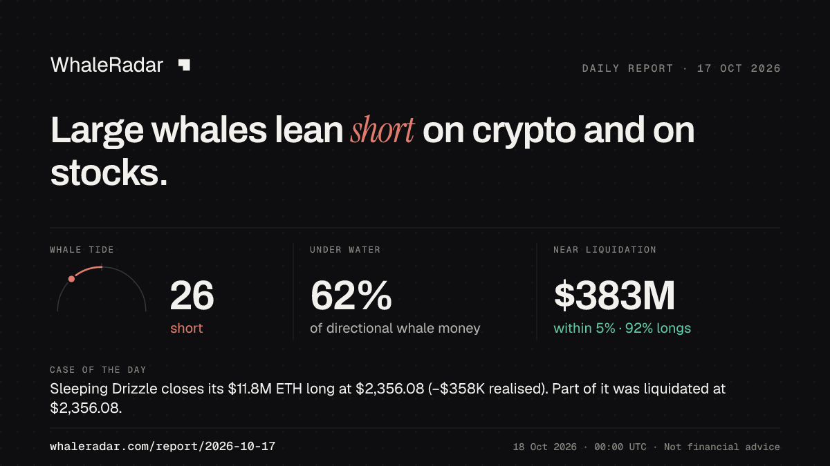 Share card for the report of 2026-10-17: Large whales lean short on crypto and on stocks.