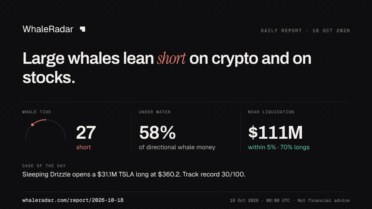 Share card for the report of 2026-10-18: Large whales lean short on crypto and on stocks.