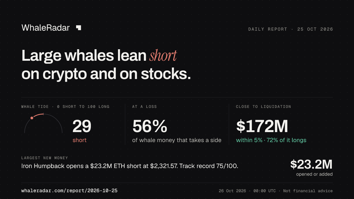 2026-10-25 리포트 공유 카드: Large whales lean short on crypto and on stocks.