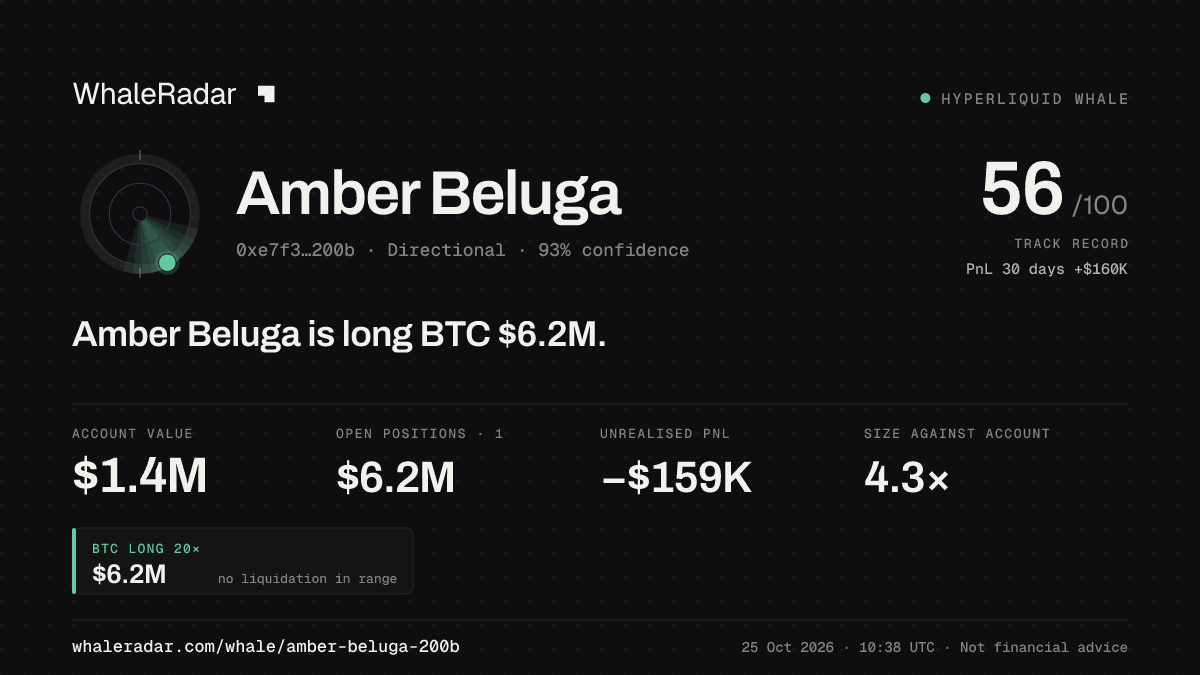 「Amber Beluga」分享卡片:Amber Beluga 持有 BTC 619 万美元 多单。