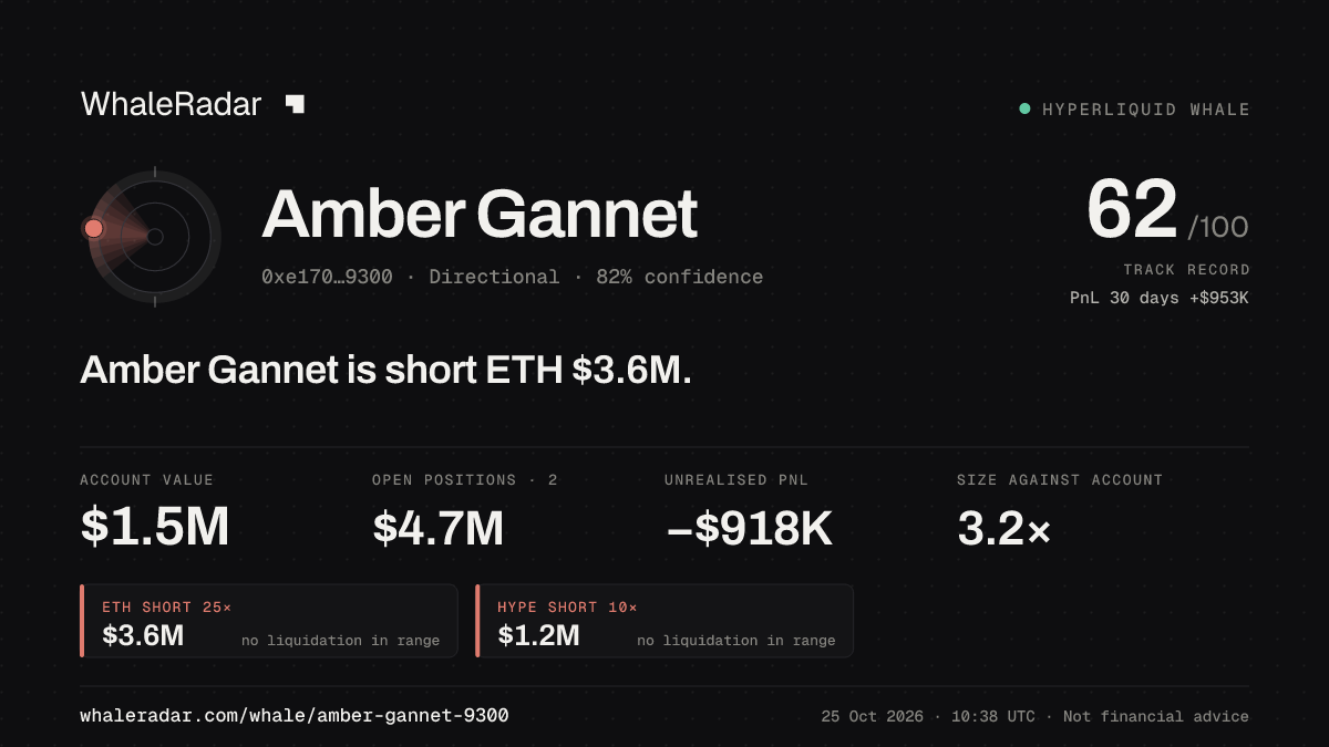 「Amber Gannet」分享卡片:Amber Gannet 持有 ETH 356 万美元 空单。