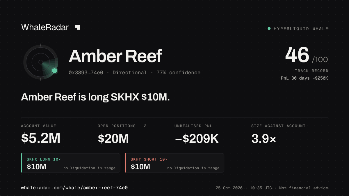 「Amber Reef」分享卡片:Amber Reef 持有 SKHX 996 万美元 多单。