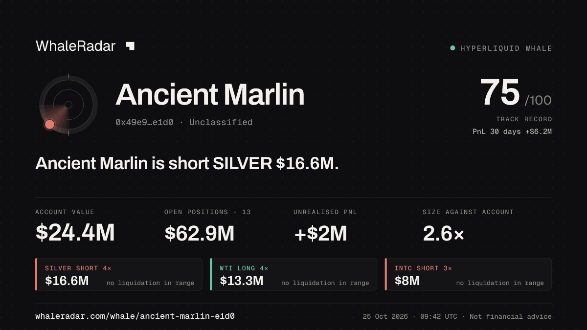 Share card for Ancient Marlin: Ancient Marlin is short SILVER $16.6M.