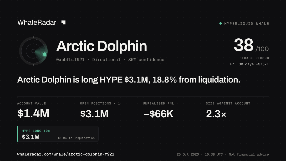 「Arctic Dolphin」分享卡片:Arctic Dolphin 持有 HYPE 309 万美元 多单,距爆仓 18.7%。