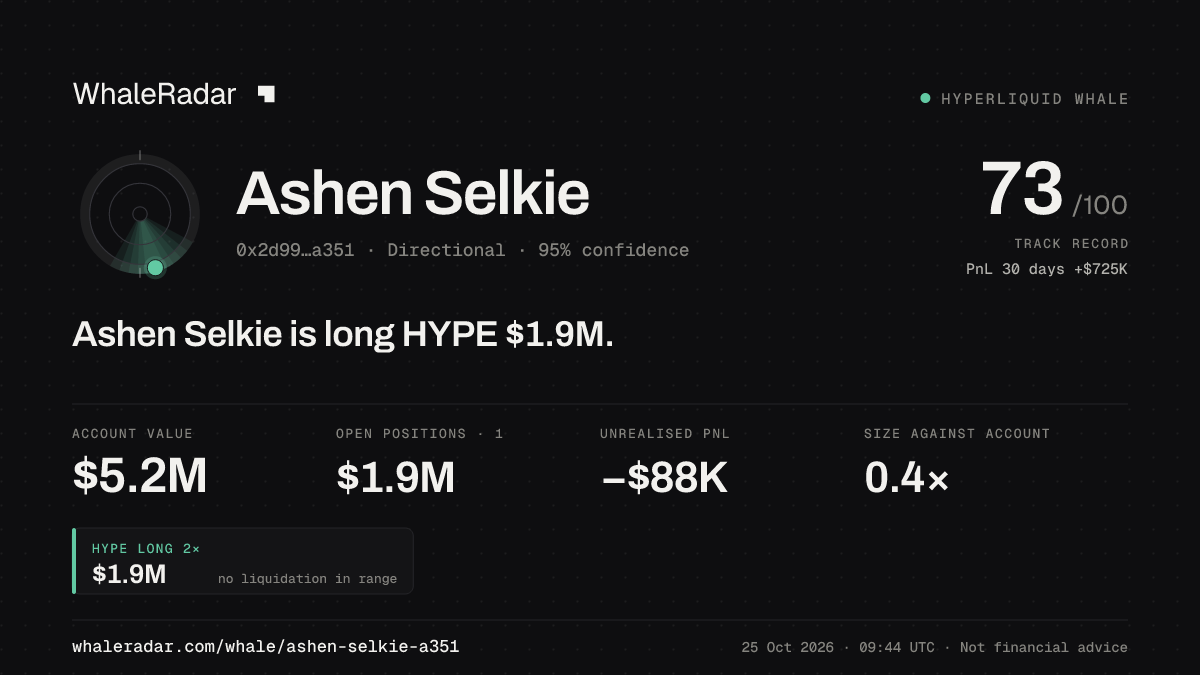 「Ashen Selkie」分享卡片:Ashen Selkie 持有 HYPE 190 万美元 多单。