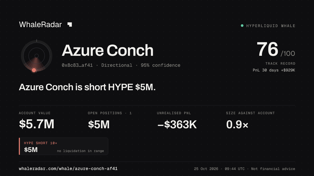 「Azure Conch」分享卡片:Azure Conch 持有 HYPE 502 万美元 空单。