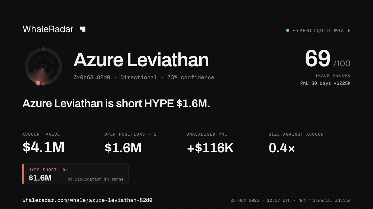 「Azure Leviathan」分享卡片:Azure Leviathan 持有 HYPE 158 万美元 空单。