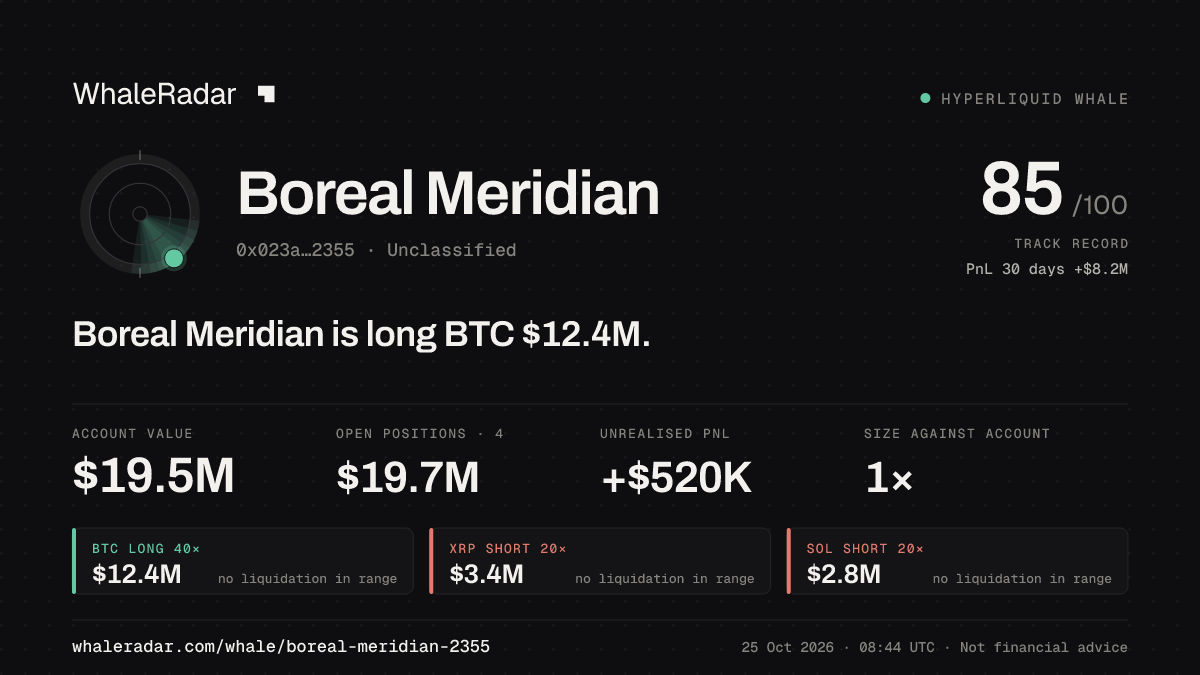 Share card for Boreal Meridian: Boreal Meridian is long BTC $12.9M.