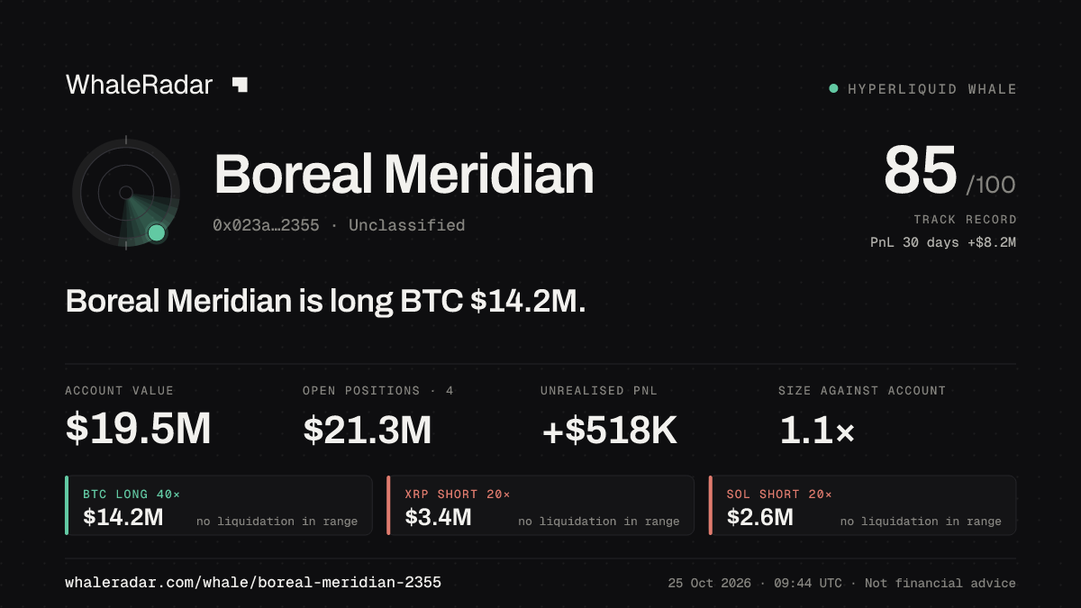 「Boreal Meridian」分享卡片:Boreal Meridian 持有 BTC 1,239 万美元 多单。