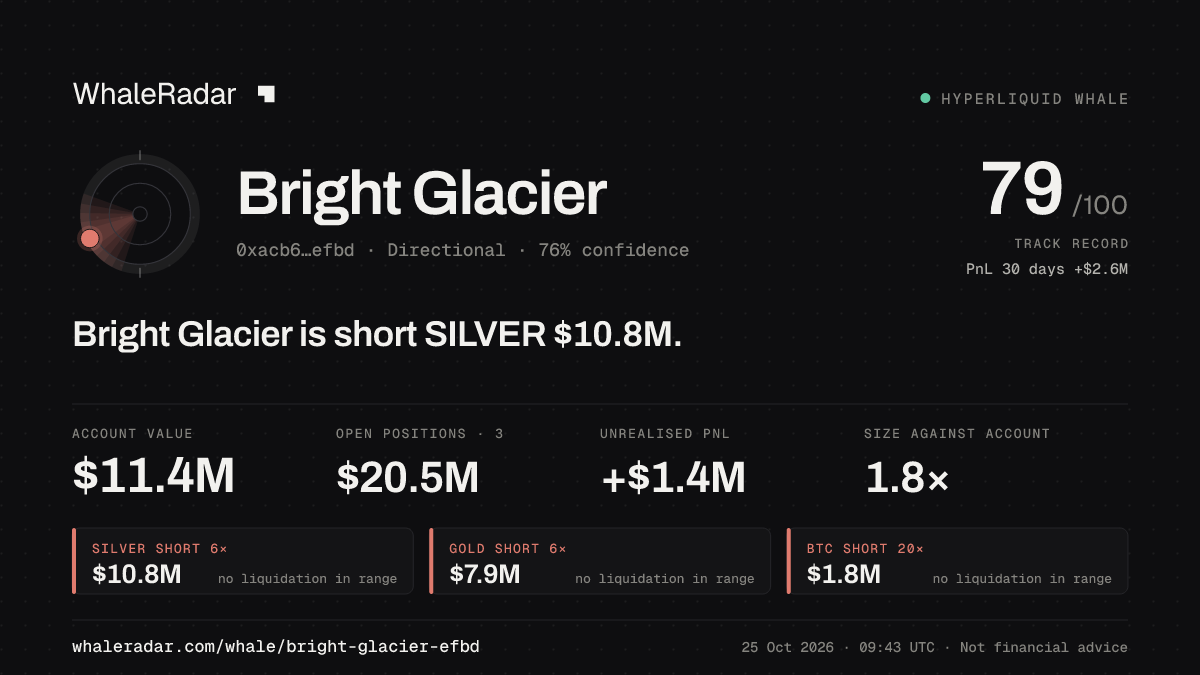 「Bright Glacier」分享卡片:Bright Glacier 持有 SILVER 1,078 万美元 空单。