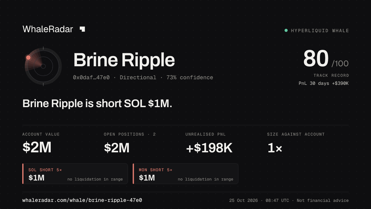Share card for Brine Ripple: Brine Ripple is short MON $1M.