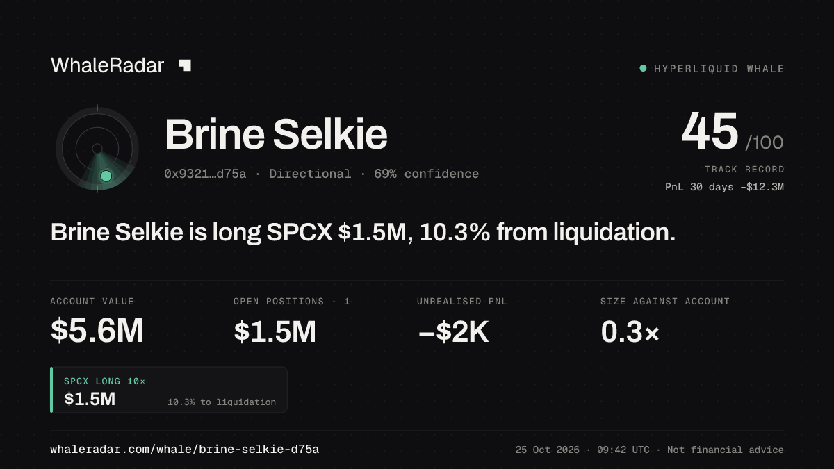 「Brine Selkie」分享卡片:Brine Selkie 持有 SPCX 147 万美元 多单,距爆仓 10.5%。