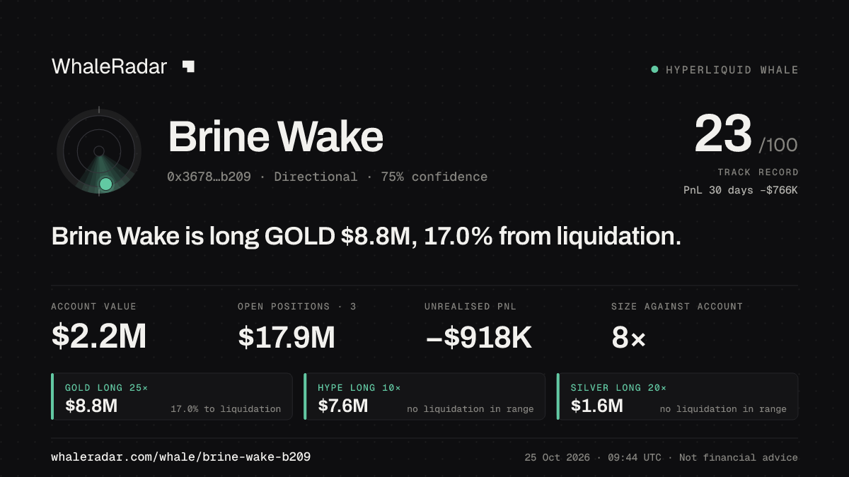 Share card for Brine Wake: Brine Wake is long GOLD $8.8M, 17.4% from liquidation.