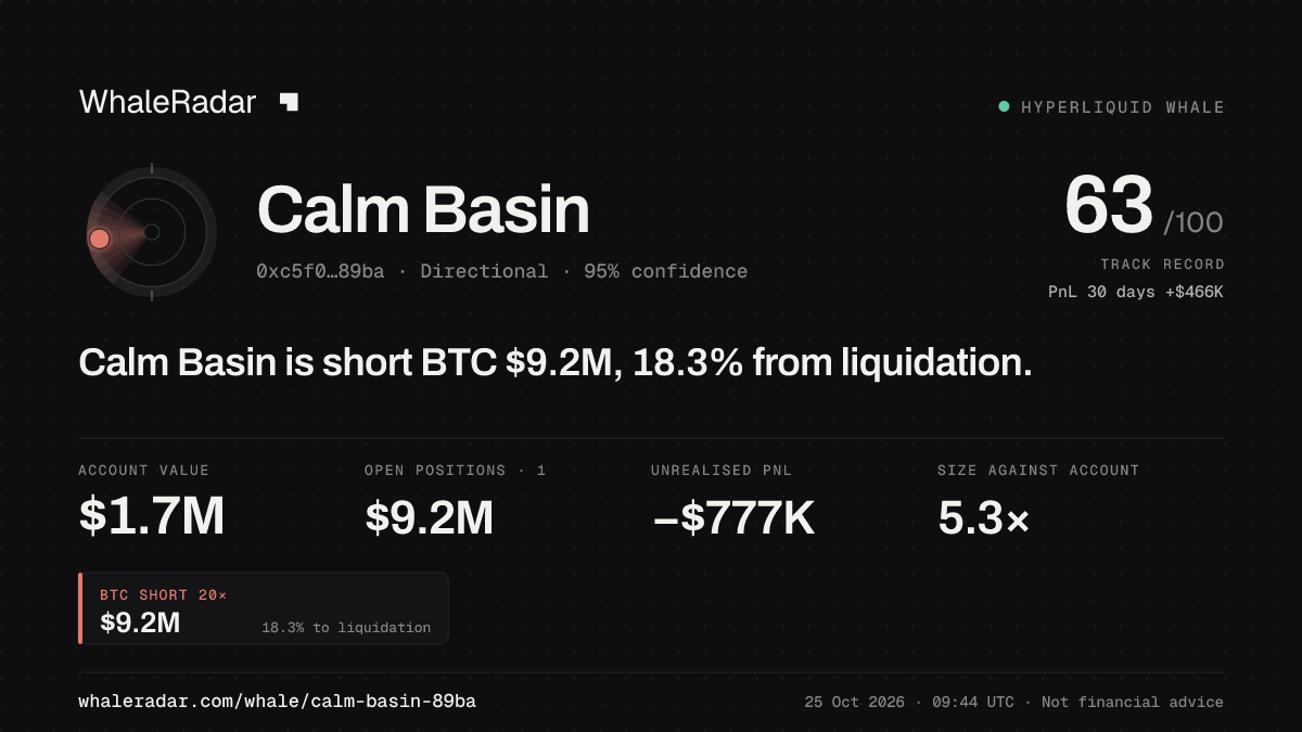 「Calm Basin」分享卡片:Calm Basin 持有 BTC 919 万美元 空单,距爆仓 17.9%。