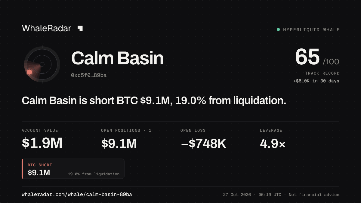 Calm Basin 공유 카드: Calm Basin: BTC 숏 912만 달러, 청산까지 19.0%.