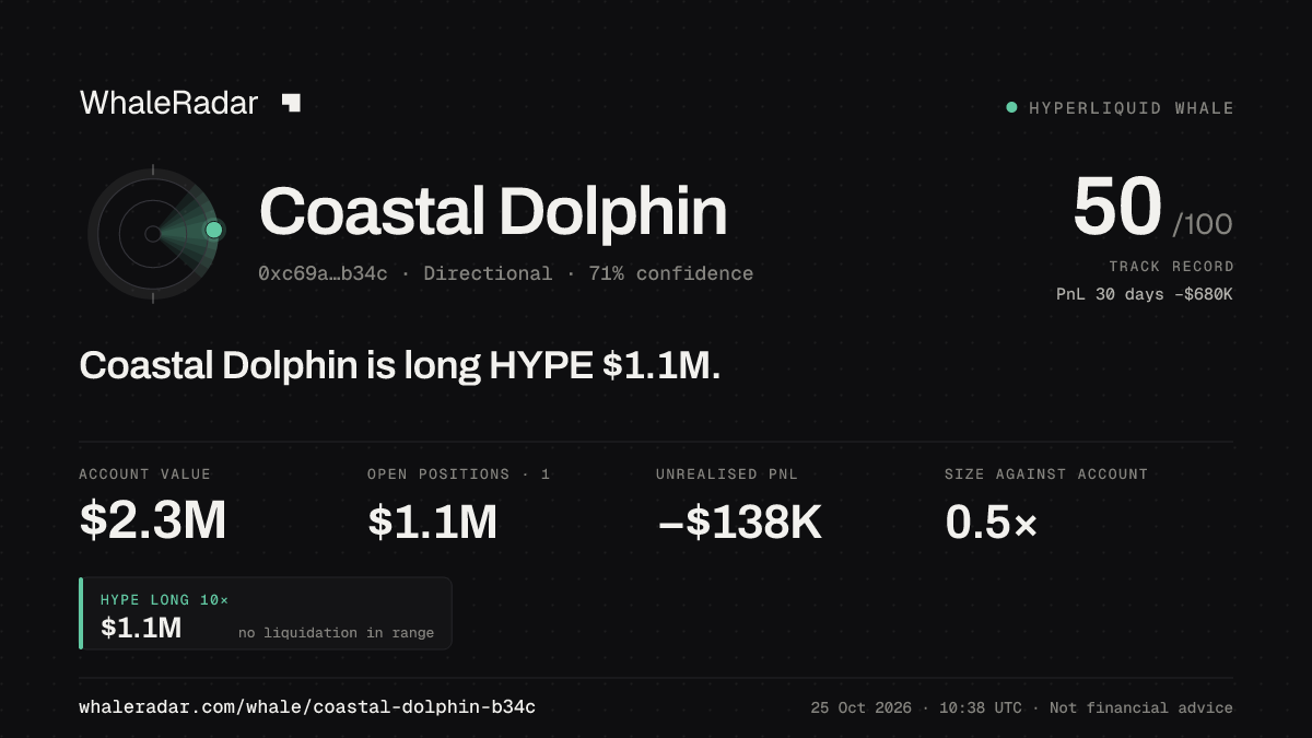 「Coastal Dolphin」分享卡片:Coastal Dolphin 持有 HYPE 106 万美元 多单。