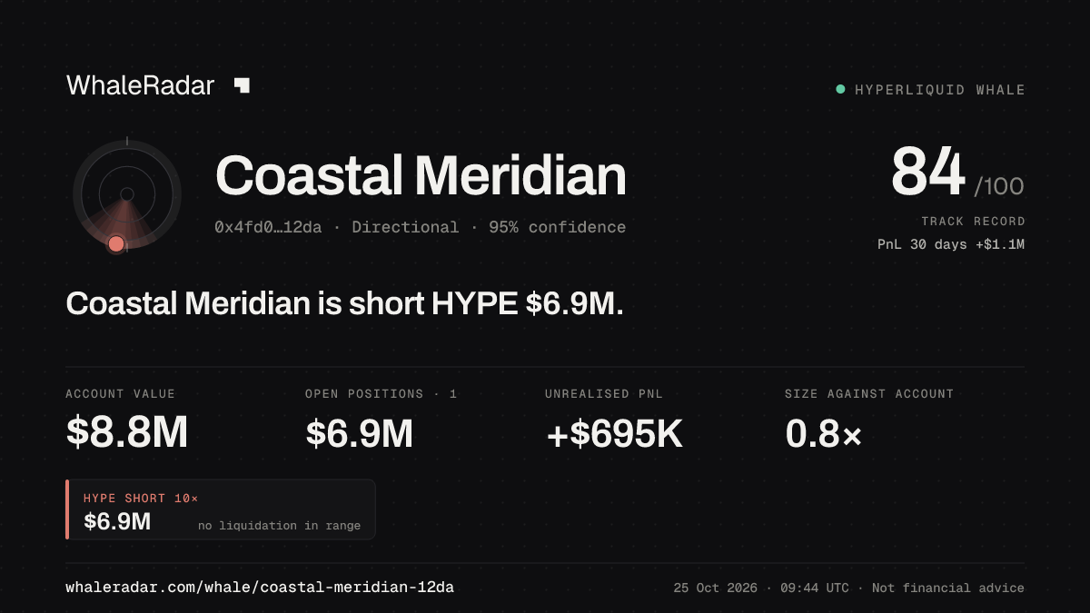 「Coastal Meridian」分享卡片:Coastal Meridian 持有 HYPE 689 万美元 空单。