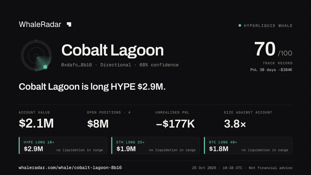 「Cobalt Lagoon」分享卡片:Cobalt Lagoon 持有 HYPE 288 万美元 多单。