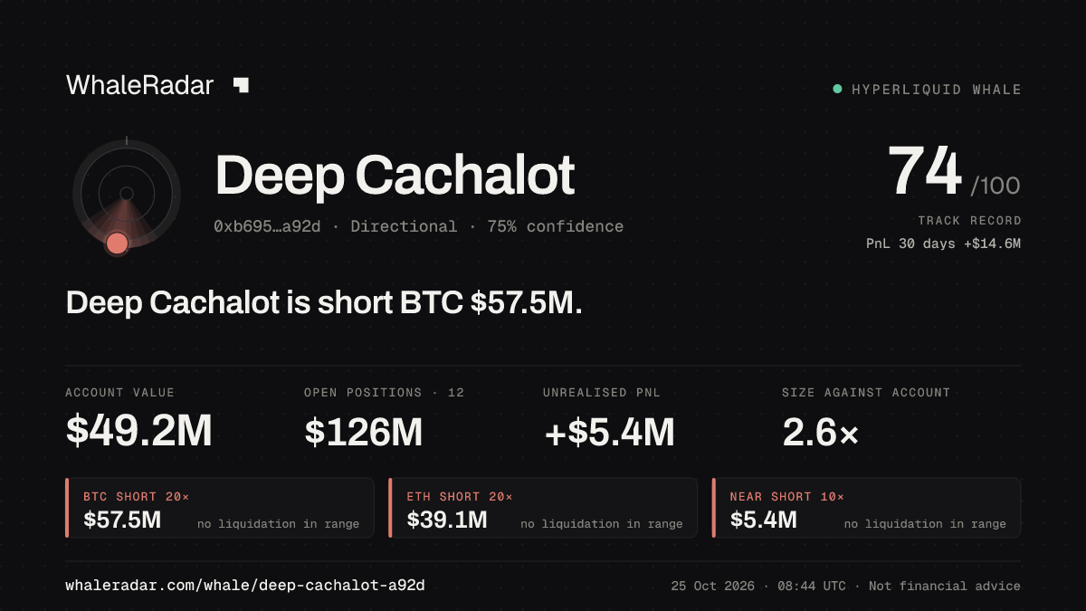 Share card for Deep Cachalot: Deep Cachalot is short BTC $57.6M.
