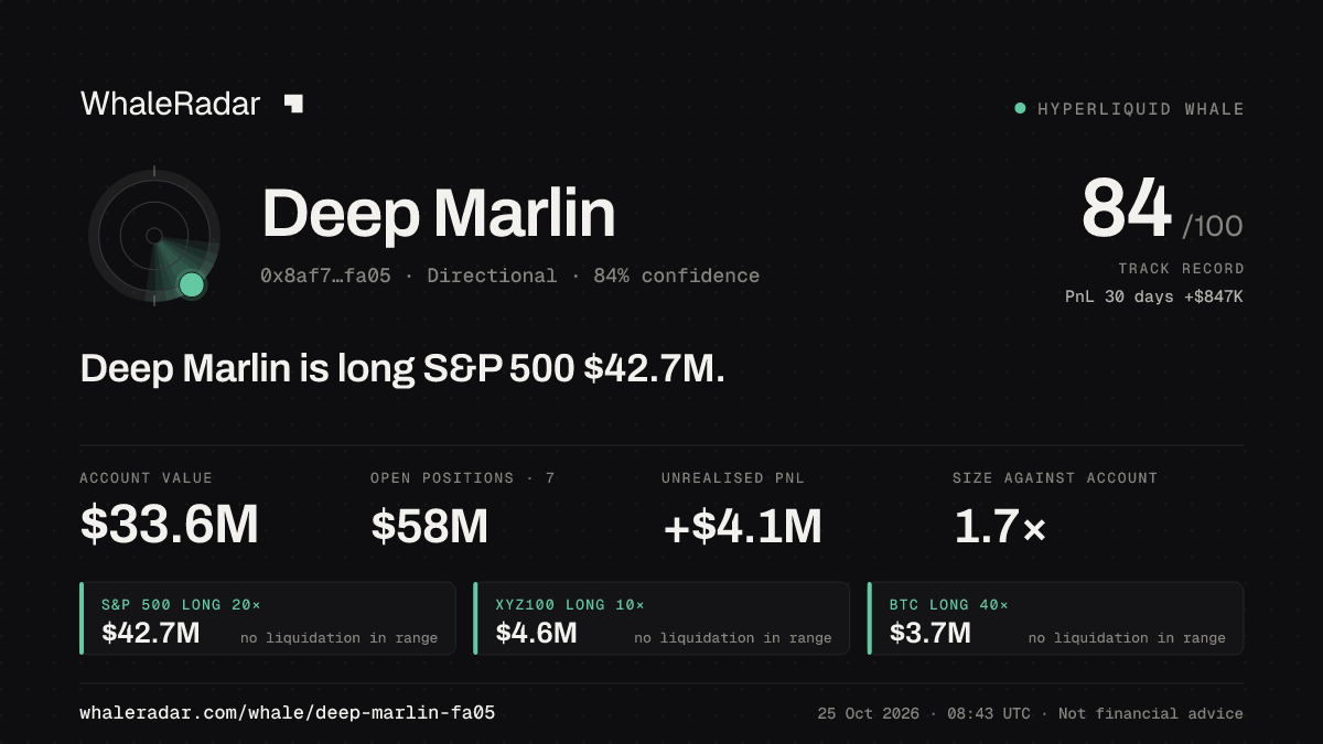 Share card for Deep Marlin: Deep Marlin is long S&P 500 $42.7M.