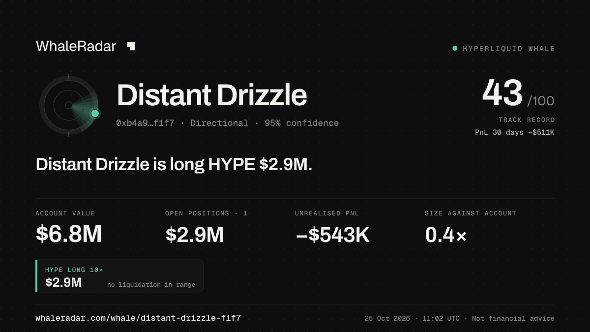 Share card for Distant Drizzle: Distant Drizzle is long HYPE $2.9M.