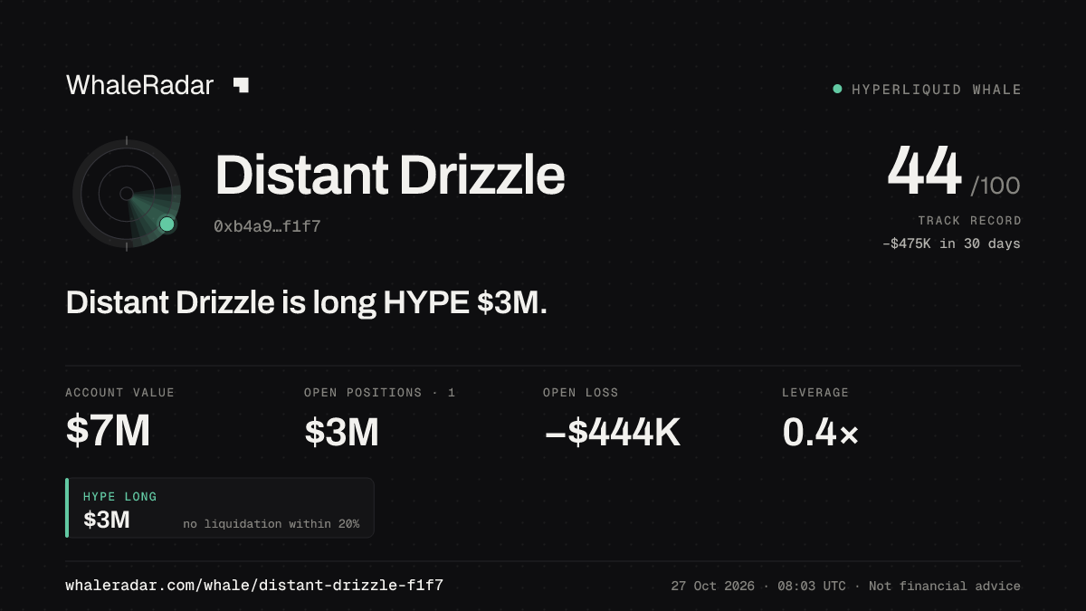 Distant Drizzle 공유 카드: Distant Drizzle: HYPE 롱 299만 달러.
