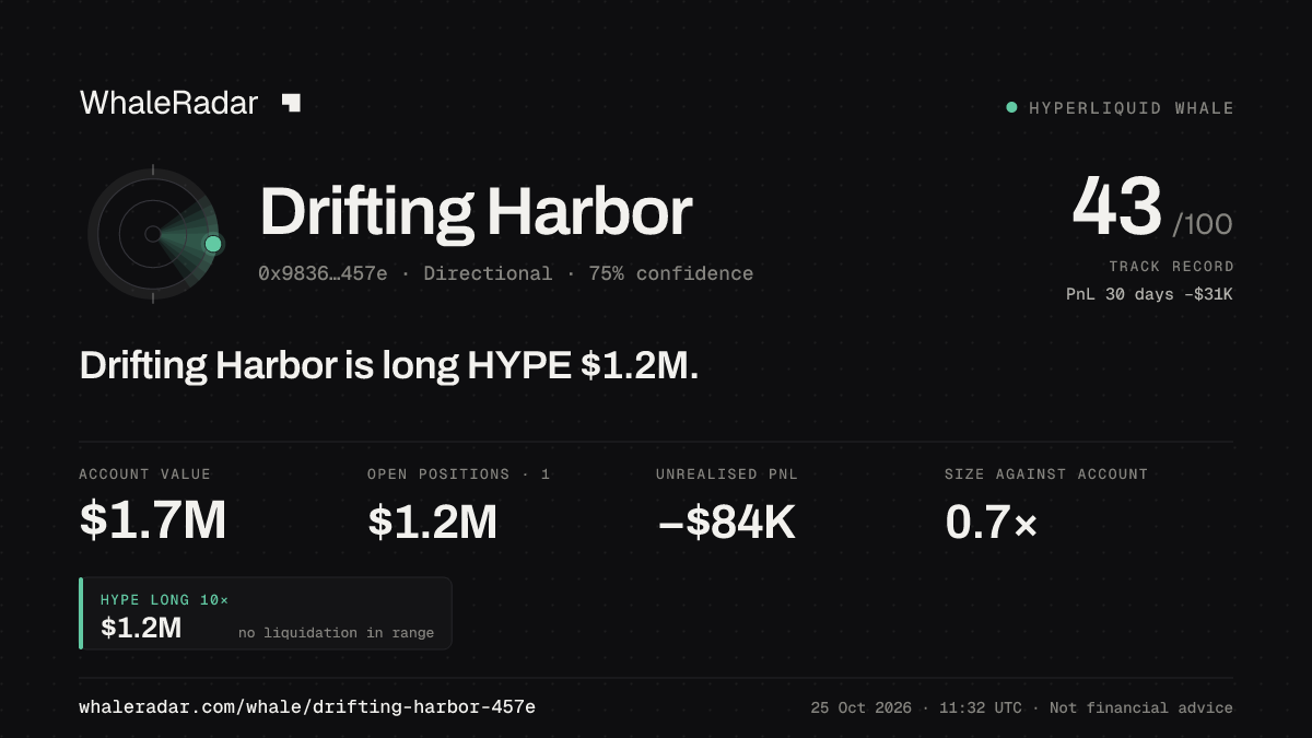 「Drifting Harbor」分享卡片:Drifting Harbor 持有 HYPE 121 万美元 多单。