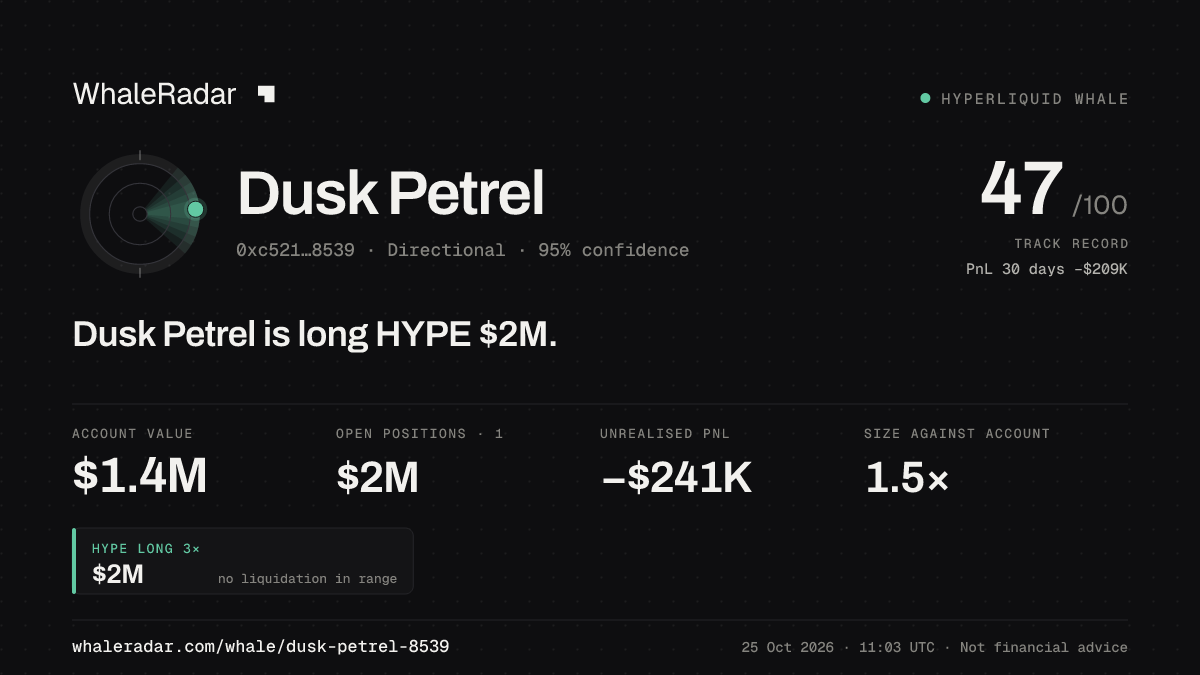 Share card for Dusk Petrel: Dusk Petrel is long HYPE $2M.