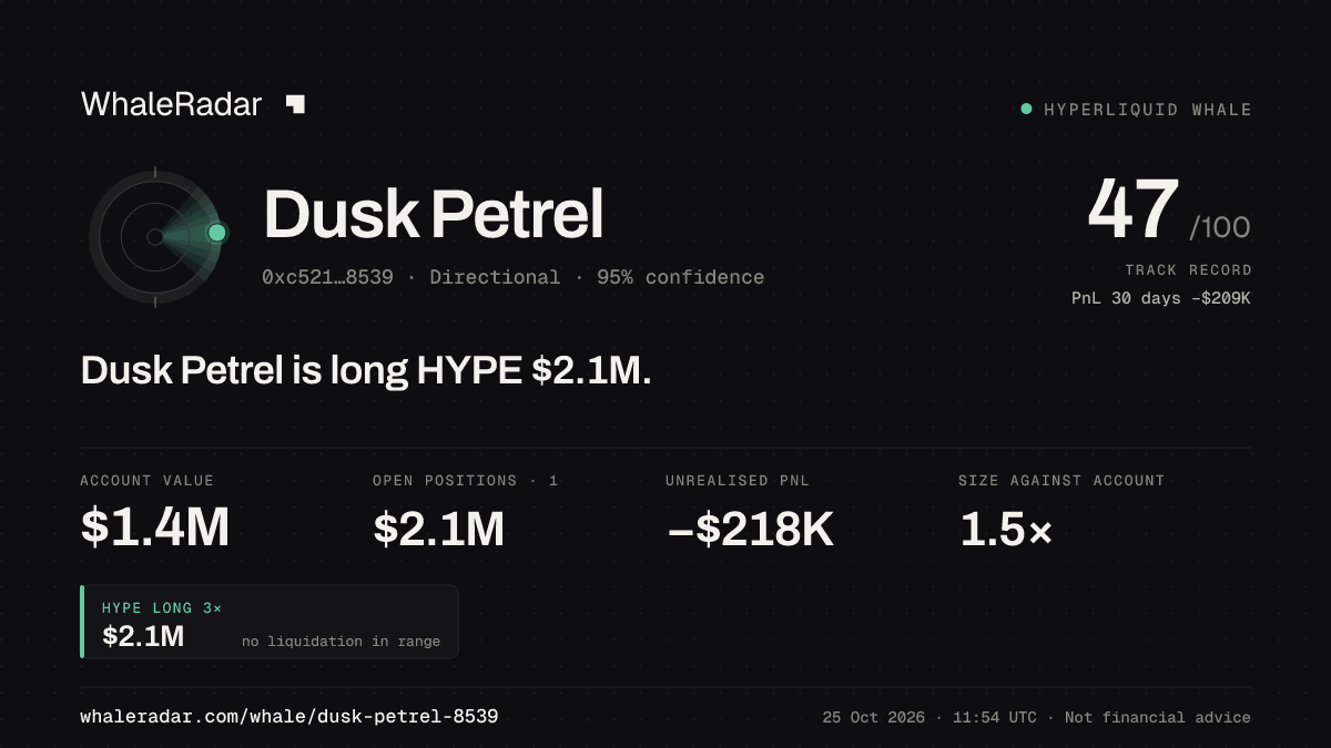 「Dusk Petrel」分享卡片:Dusk Petrel 持有 HYPE 204 万美元 多单。