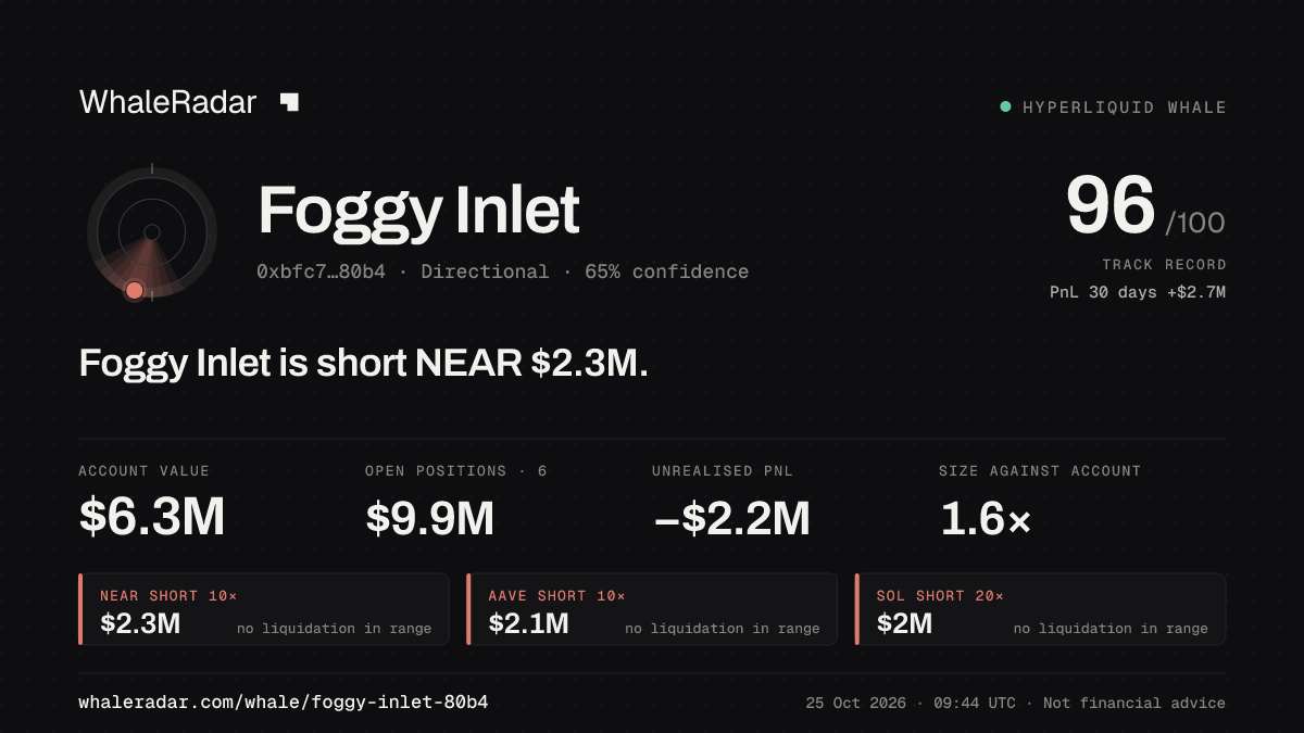 「Foggy Inlet」分享卡片:Foggy Inlet 持有 NEAR 233 万美元 空单。