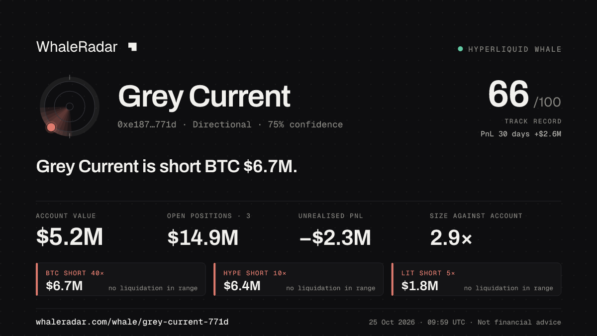 Share card for Grey Current: Grey Current is short BTC $6.7M.