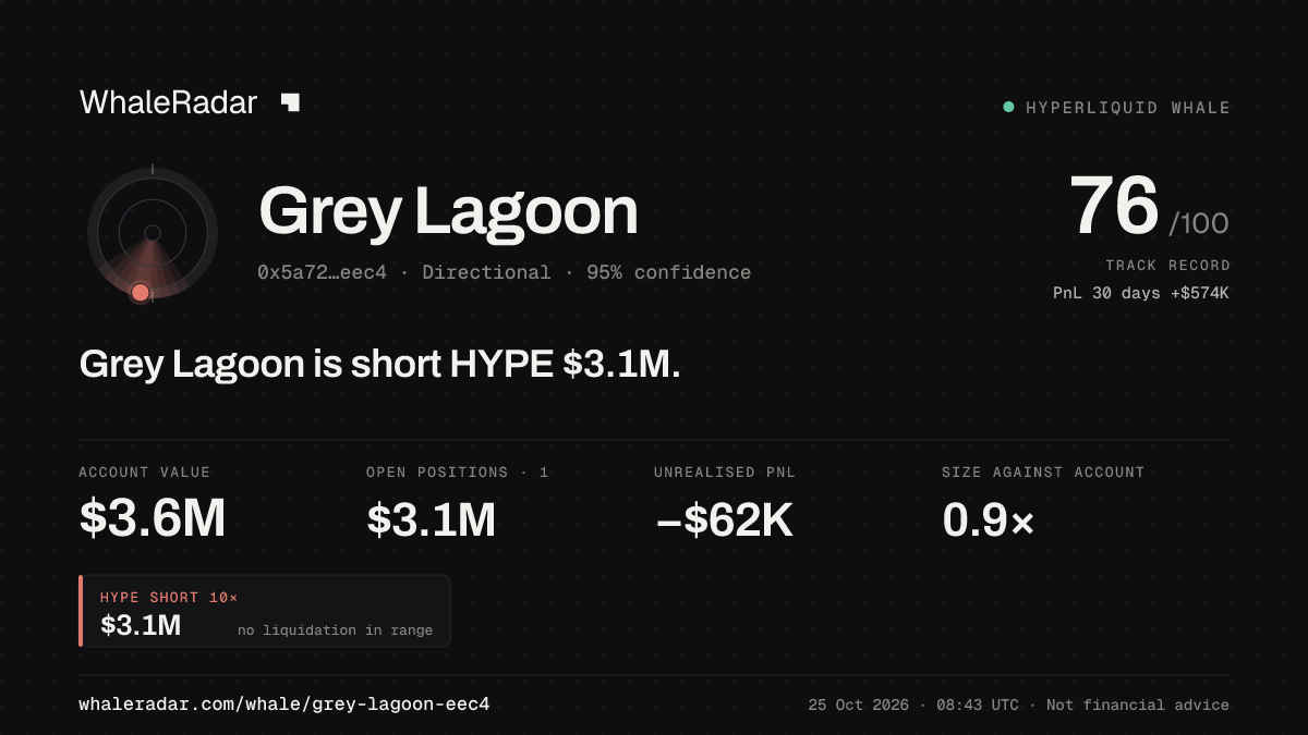 Share card for Grey Lagoon: Grey Lagoon is short HYPE $3.1M.