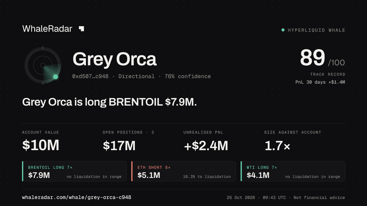 「Grey Orca」分享卡片:Grey Orca 持有 BRENTOIL 787 万美元 多单。
