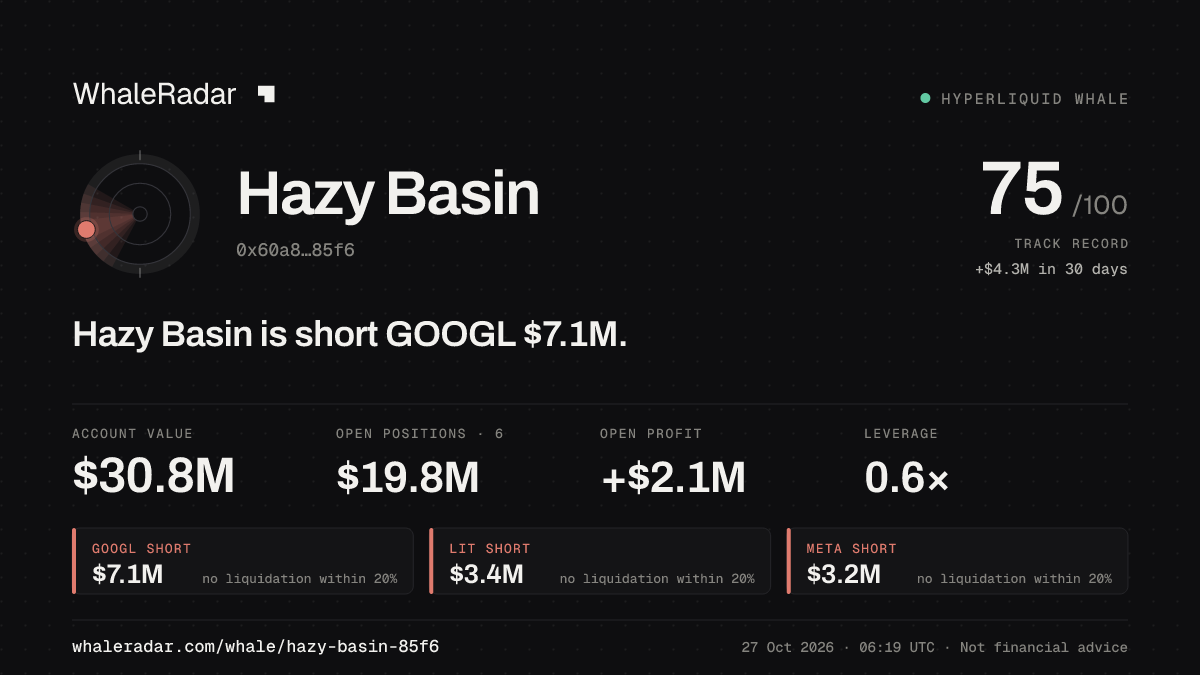 Hazy Basin 공유 카드: Hazy Basin: GOOGL 숏 707만 달러.