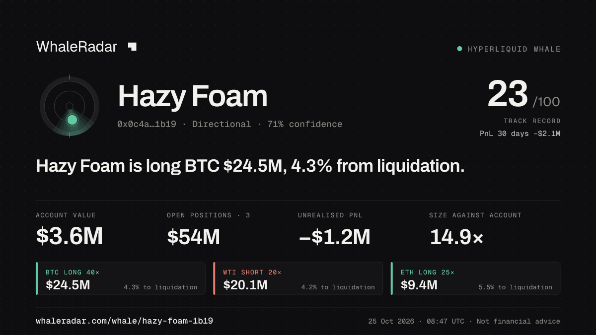 Share card for Hazy Foam: Hazy Foam is long BTC $24.6M, 4.5% from liquidation.