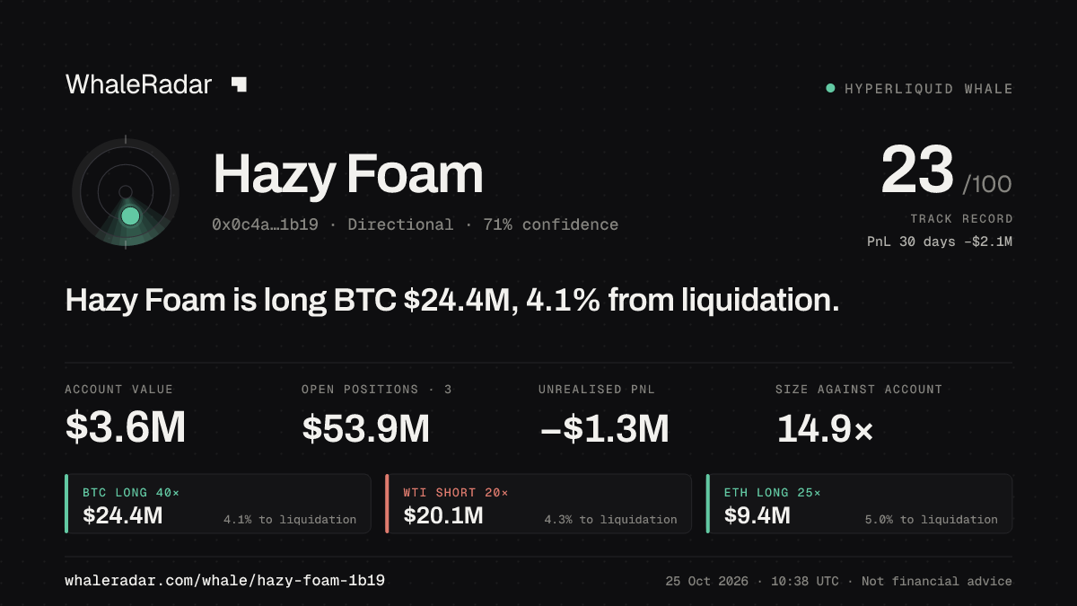 「Hazy Foam」分享卡片:Hazy Foam 持有 BTC 2,449 万美元 多单,距爆仓 4.2%。