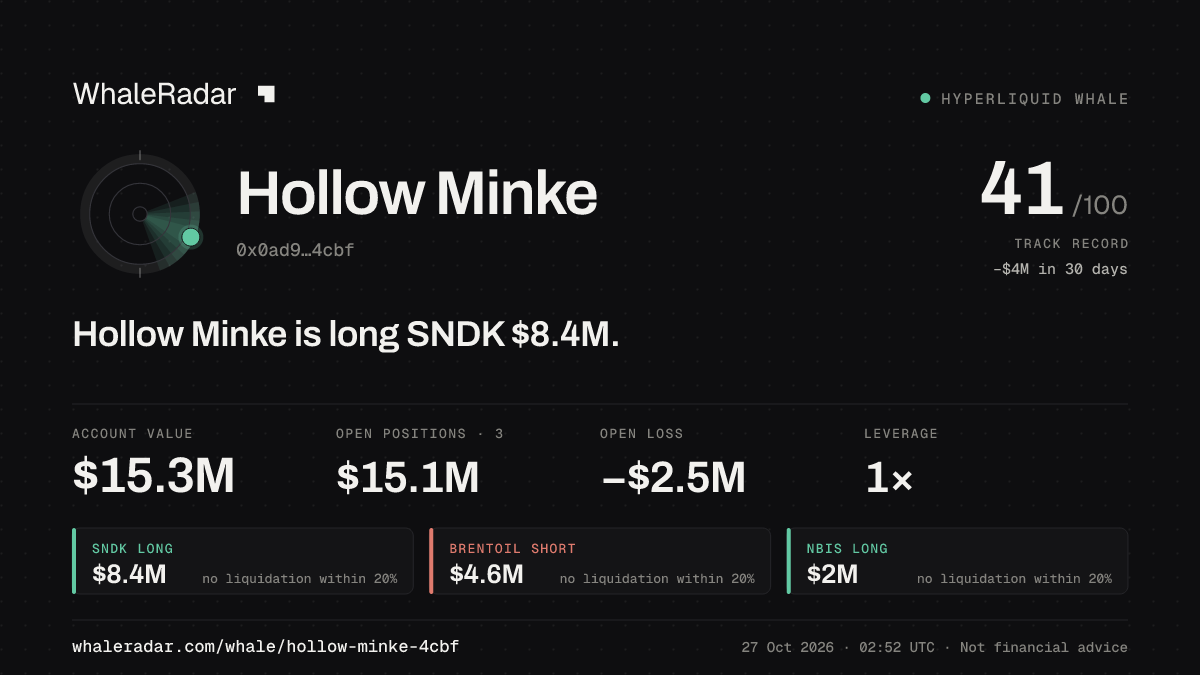 Share card for Hollow Minke: Hollow Minke is long SNDK $8.6M.
