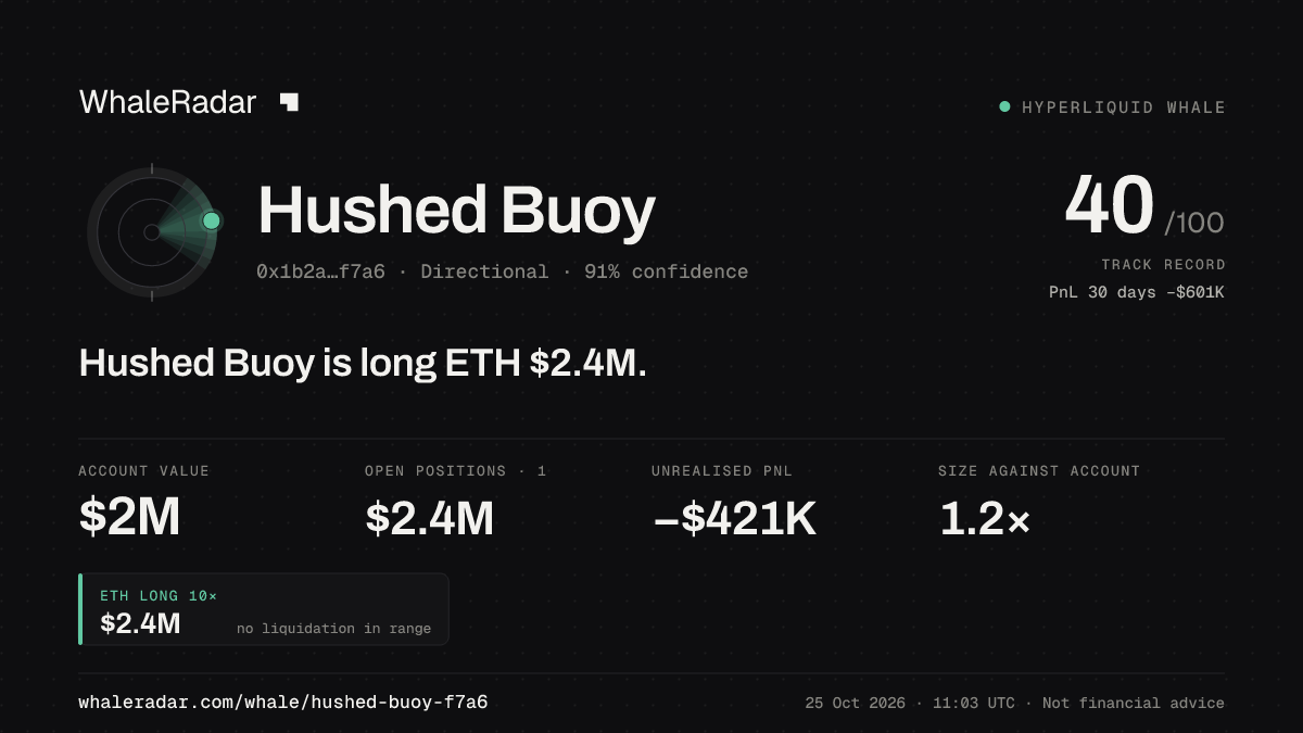 Share card for Hushed Buoy: Hushed Buoy is long ETH $2.4M.