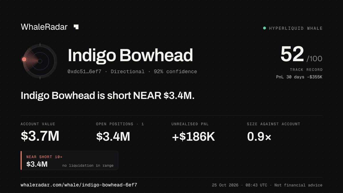 Share card for Indigo Bowhead: Indigo Bowhead is short NEAR $3.4M.