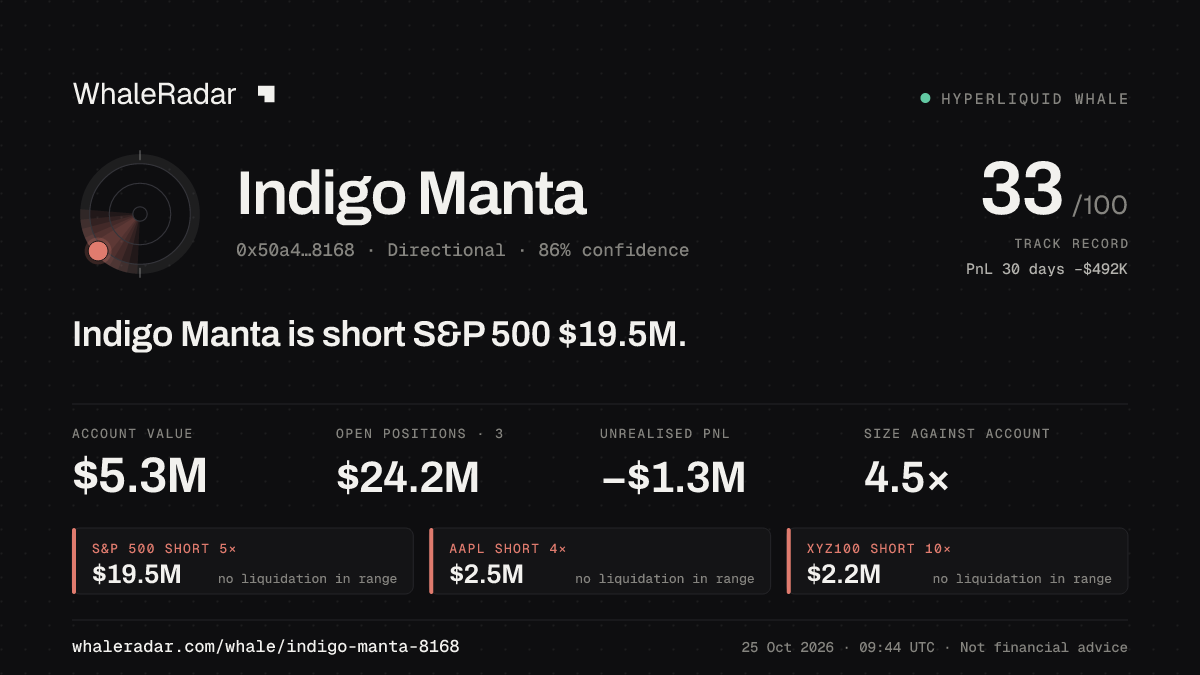 Share card for Indigo Manta: Indigo Manta is short S&P 500 $19.6M.