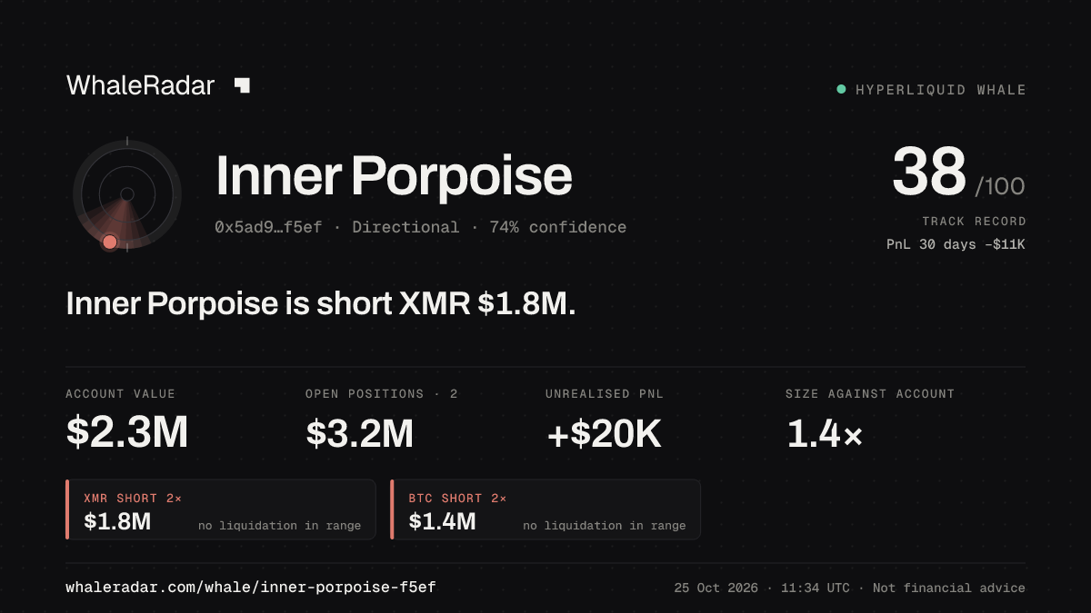「Inner Porpoise」分享卡片:Inner Porpoise 持有 XMR 179 万美元 空单。