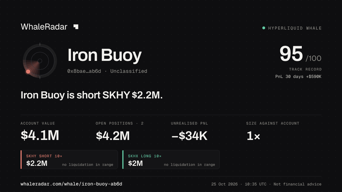 Share card for Iron Buoy: Iron Buoy is short SKHY $2.2M.