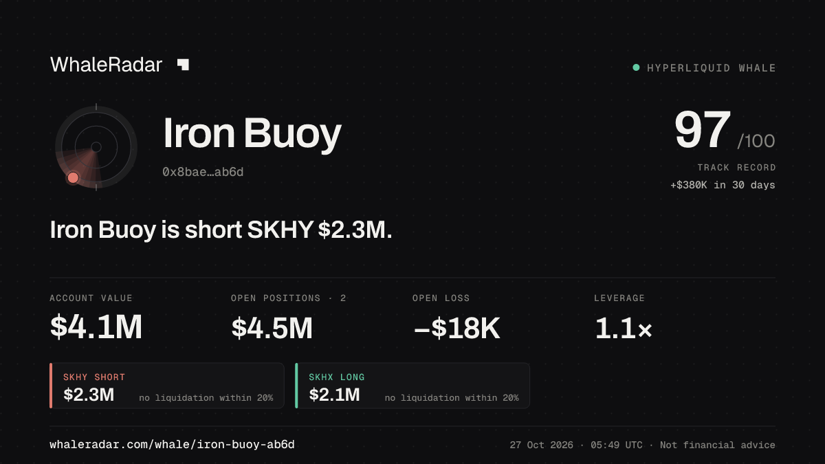 Iron Buoy 공유 카드: Iron Buoy: SKHY 숏 236만 달러.