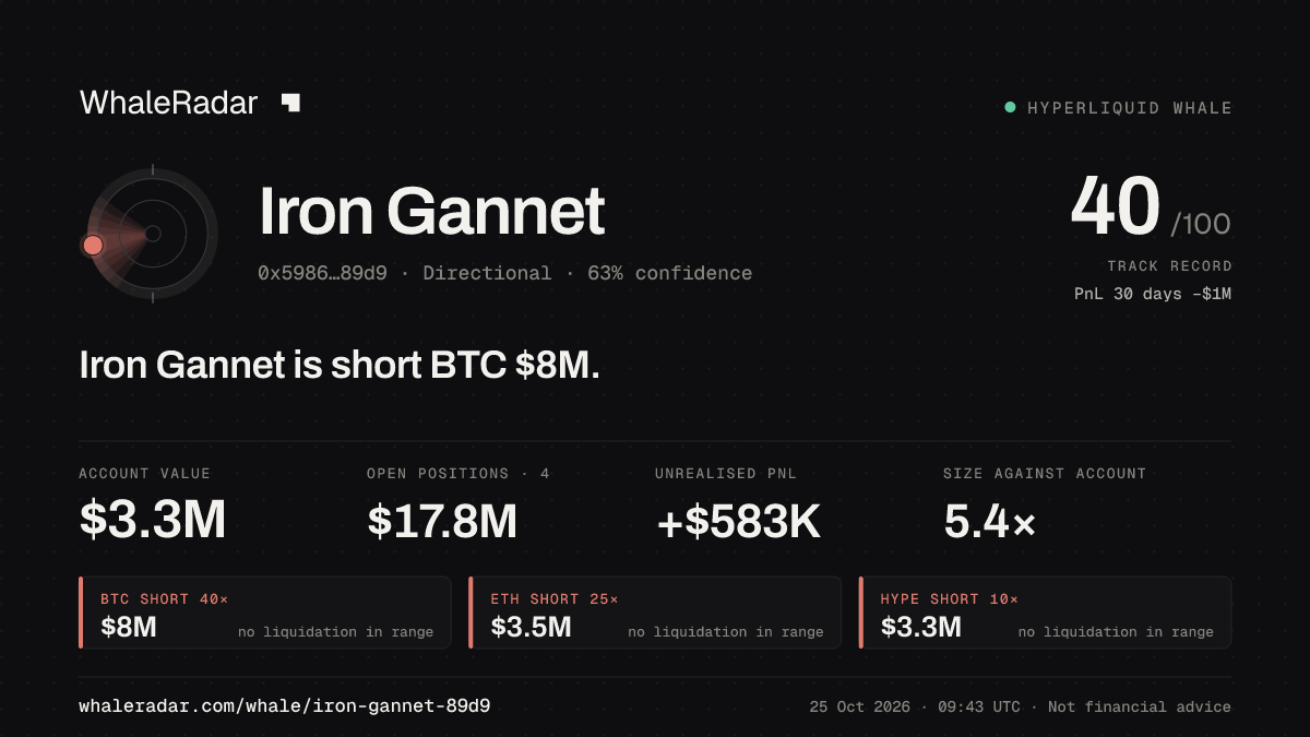 Share card for Iron Gannet: Iron Gannet is short BTC $8M.