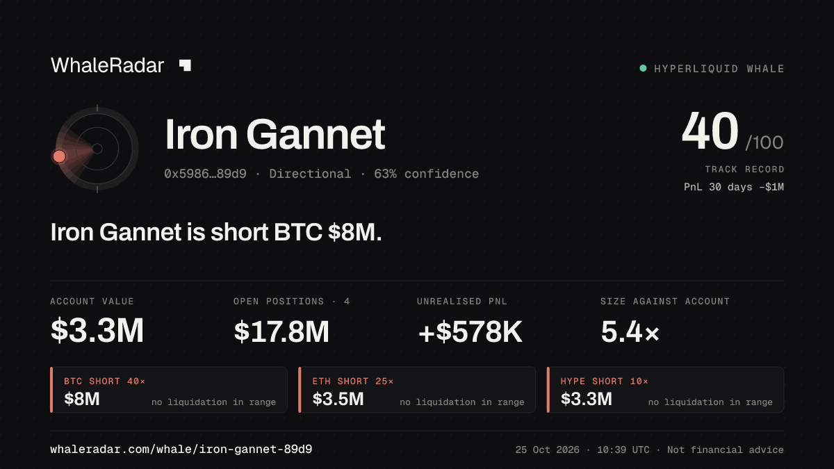 「Iron Gannet」分享卡片:Iron Gannet 持有 BTC 802 万美元 空单。
