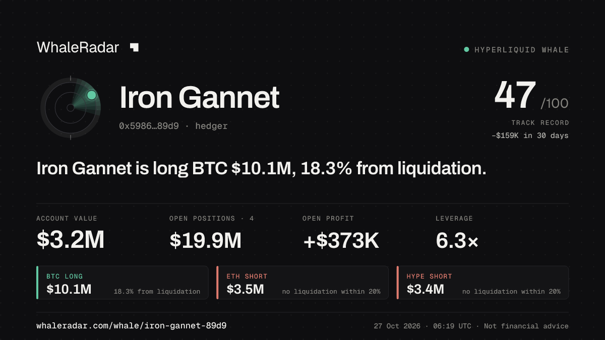 Iron Gannet 공유 카드: Iron Gannet: BTC 롱 1,009만 달러, 청산까지 18.1%.